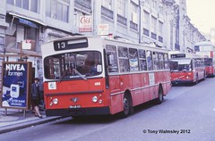 Porto Buses & Trolleybuses