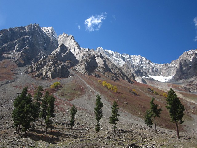 Upper Naltar Valley, Pakistan.