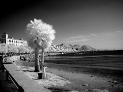 Infrared Landscape Photography B&W