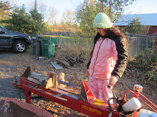 Sophia Learning How to Split Wood