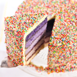 purple_ombre_sprinkle_cake-9