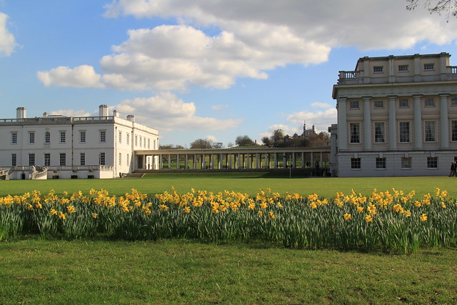 Daffodils in Greenwich