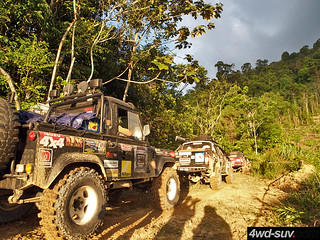 Borneo Safari 2011 - Day 2