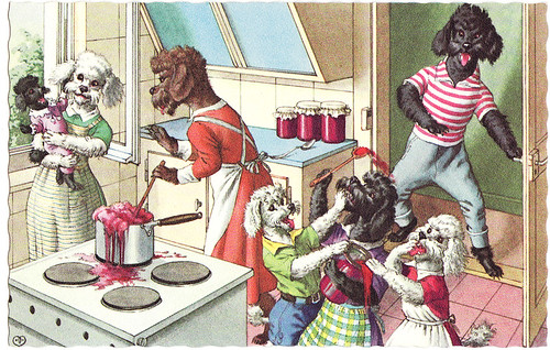 poodles cooking