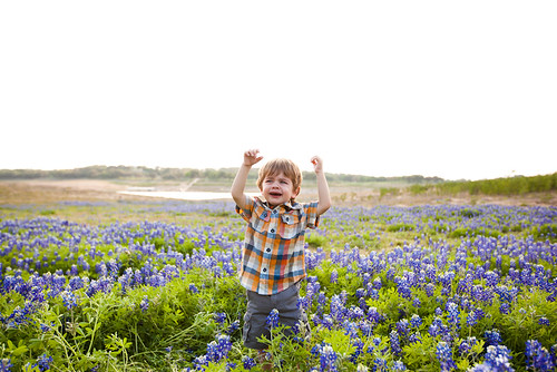 Anthony in Bluebonnets-0001