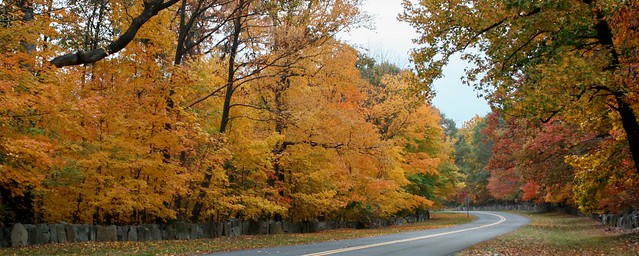 Autumn Along The Henry Hudson Drive