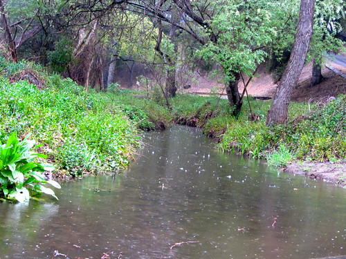 rainy creek