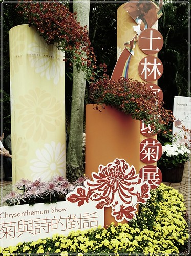 2011 士林官邸菊展