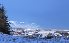 Winter 2011 - 2012