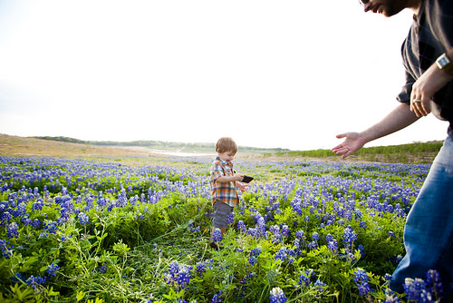 Anthony in Bluebonnets-0003