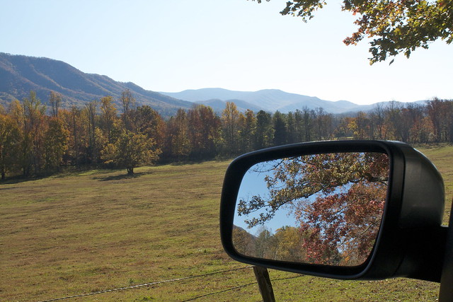 Side Mirror Reflections