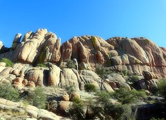 Arizona 2011