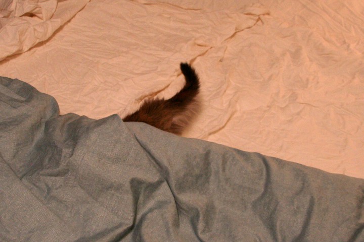 Changing the sheets