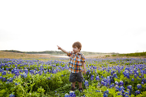 Anthony in Bluebonnets-0009