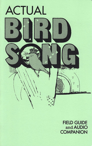 Actual Bird Song