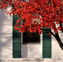 White Building, Green Shutters, Red Leaves