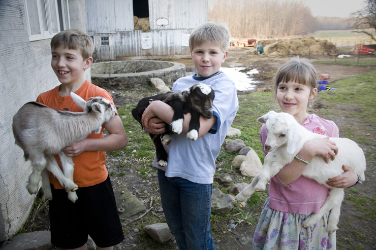 A visit to a goat farm...