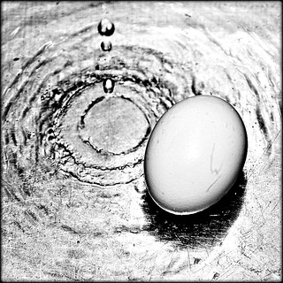 Egg and water