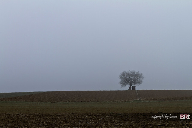 the_fool_on_the_hill_on_foggy_morning