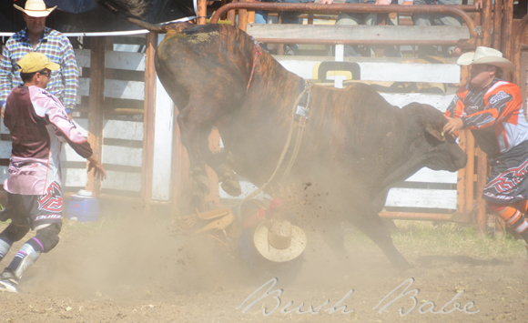 rodeo_5464