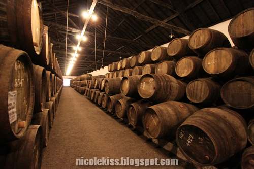 taylors wine cellar