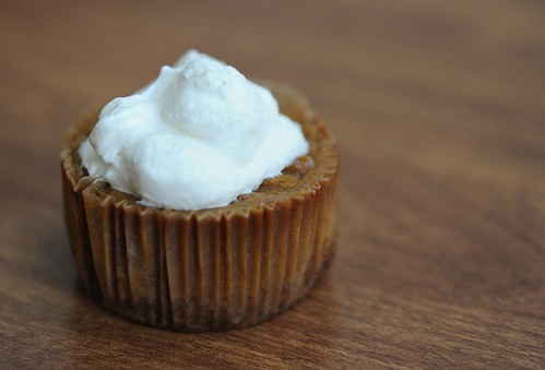 Primal Whipped Cream on Paleo Pumpkin Cupcake