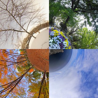 Four seasons in Japan