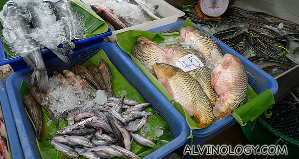 Freshwater fish, not a favouite among Singaporeans due to the stronger "fishy" taste