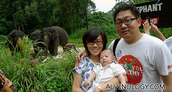 Family photo with the elephants
