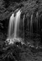 Waterfalls in Black and White