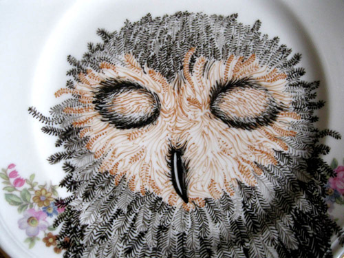 owl-plate3