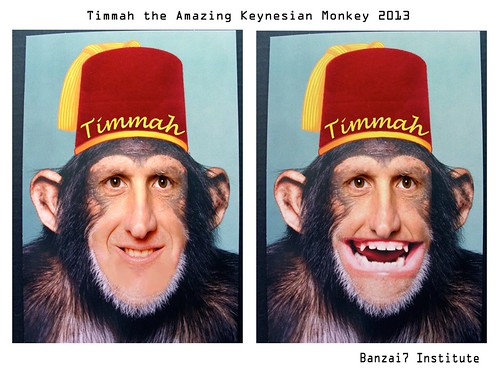 TIMMAH THE AMAZING MAGIC MONKEY by Colonel Flick