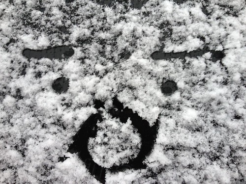 I think the snow surprised us all! #snowtober