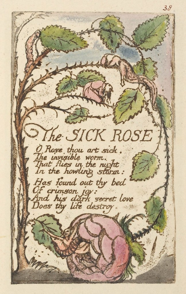 Songs of Experience (The Sick Rose)