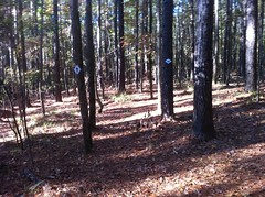  Trail Markers 