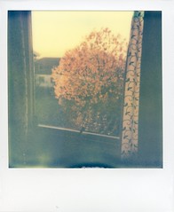 Impossible Project