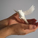 small paper bird (3)