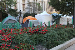 IMG_2250 #ows