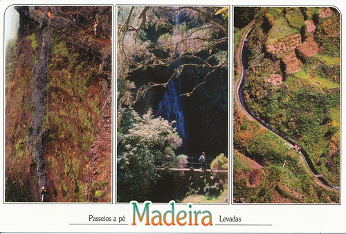 Laurisilva of Madeira