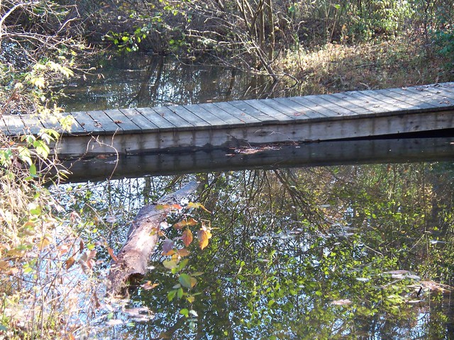 Saunders Creek Bridge (part of the Lakeshore Trail)