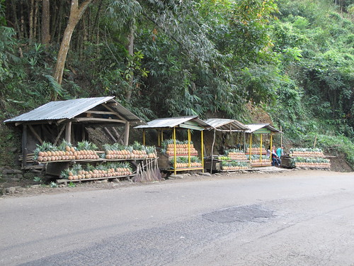 Pineapple stalls on the road to Kohima