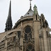Notre Dame (back)