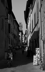 Arezzo (Italia)