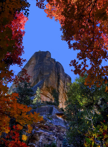 Fall in Oak Creek Canyon