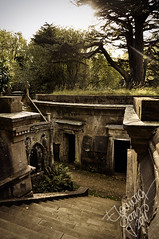 Cemetery + Graveyards