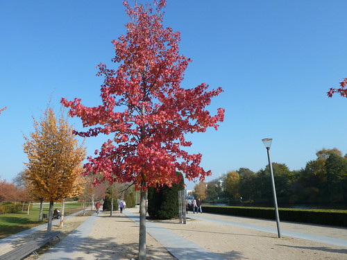 Herbstfarben / P1030349