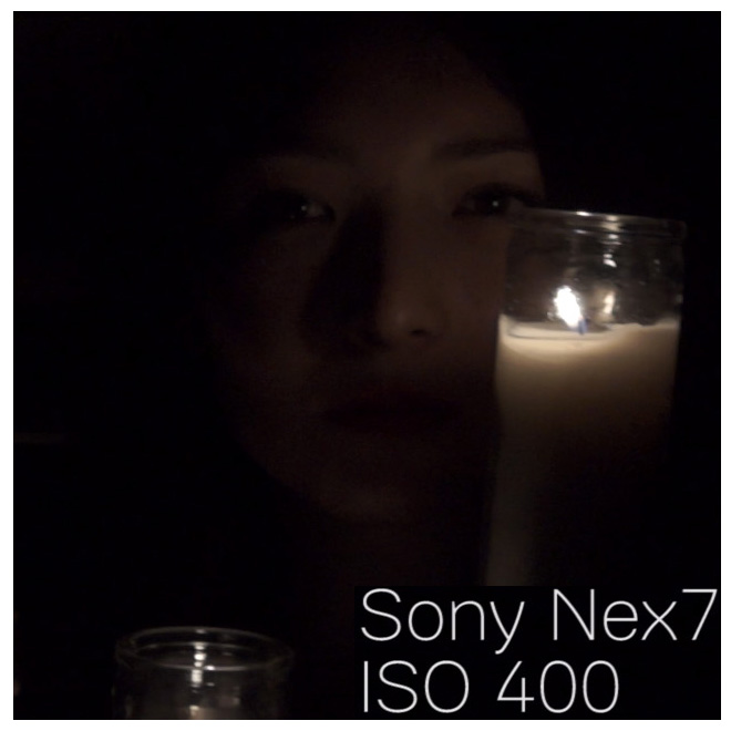 sonynex7_iso400_100percentcrop