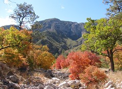 Guadalupe Mountains: McKittrick Canyon - October 26, 2011