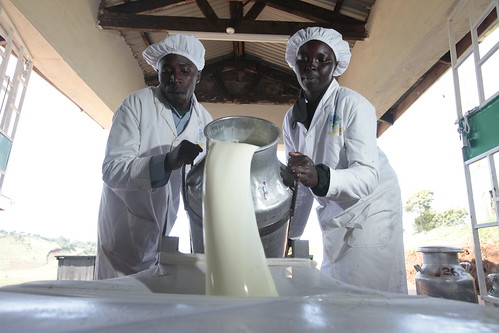 EADDP (East African Dairy Development Program) Metkei Multipurpose Company Ltd.
