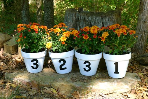 Fall Flower Pots